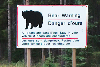 Langsam begannen wir uns zu fragen, wo den nun die ganzen Bären sind